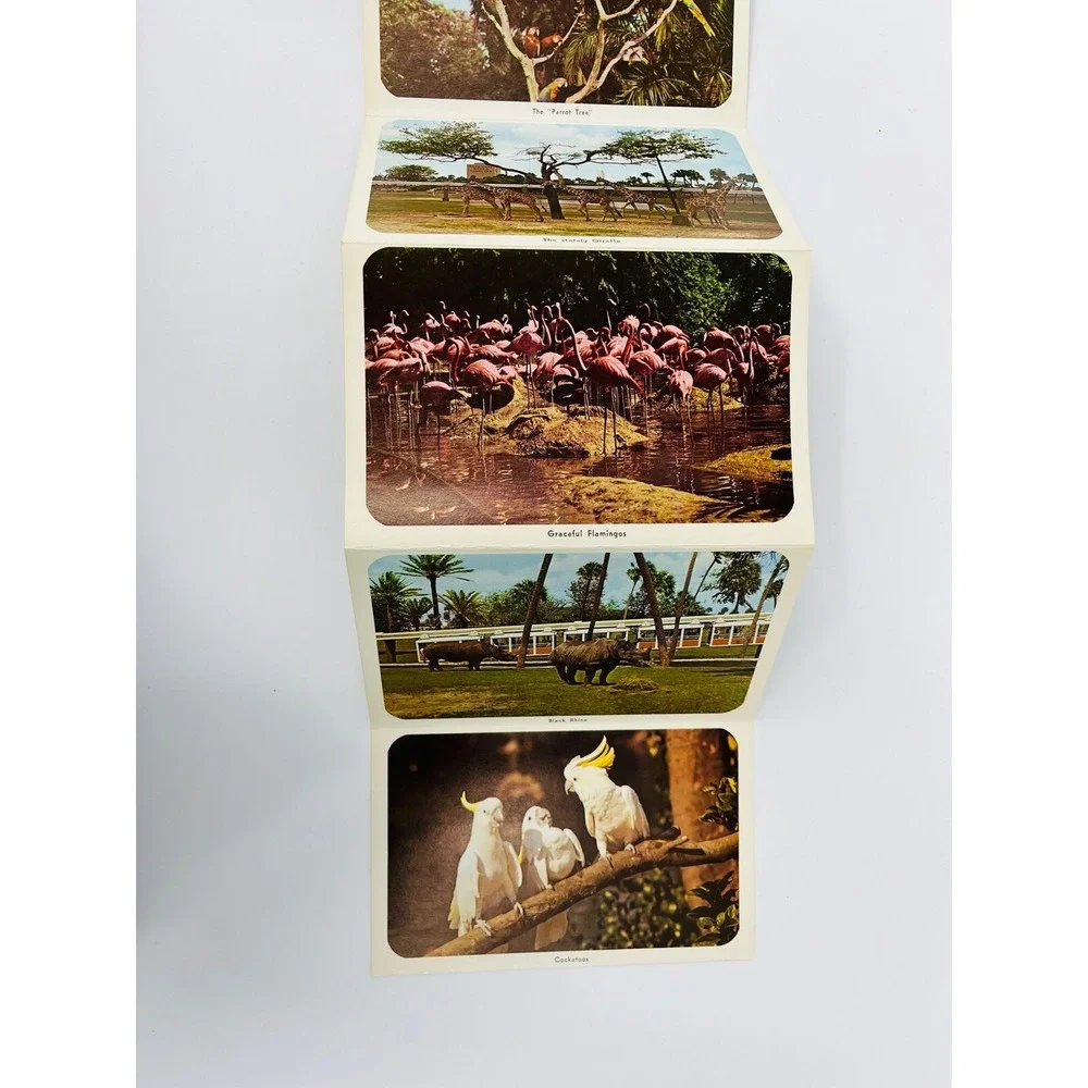 Vintage Florida Busch Gardens Key West Fold Out Postcards Souvenir Lot of 2